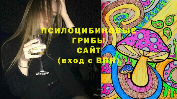 бошки Алексеевка