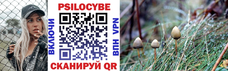 купить  цена  Юрьевец  Псилоцибиновые грибы Magic Shrooms 